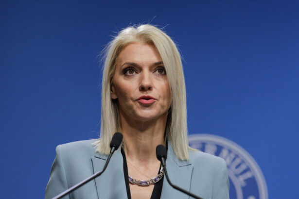 alina gorghiu voi vota guvernul muresan si daca acest guvern va cadea voi sustine si urmatoarea formula 6ab41ba6dccb3