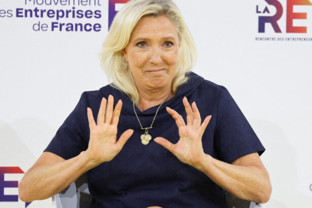 analiza arma secreta a lui marine le pen de ce trei infrangeri in alegeri nu i au oprit ascensiunea nu are nevoie ca franta sa o iubeasca 6aa5539d4a489