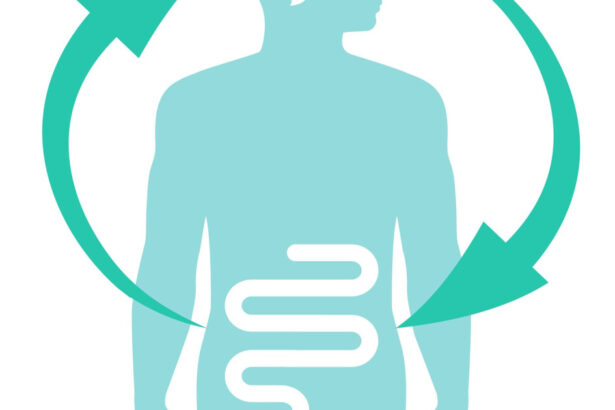 axa intestin creier legatura intre sanatatea intestinala si depresie explicata prin intermediul unui nou studiu 6aa7748ab5b52