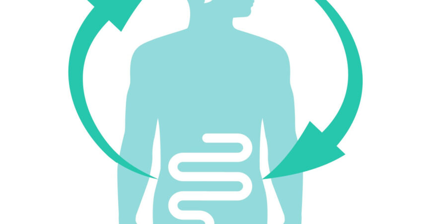 axa intestin creier legatura intre sanatatea intestinala si depresie explicata prin intermediul unui nou studiu 6aa7748ab5b52
