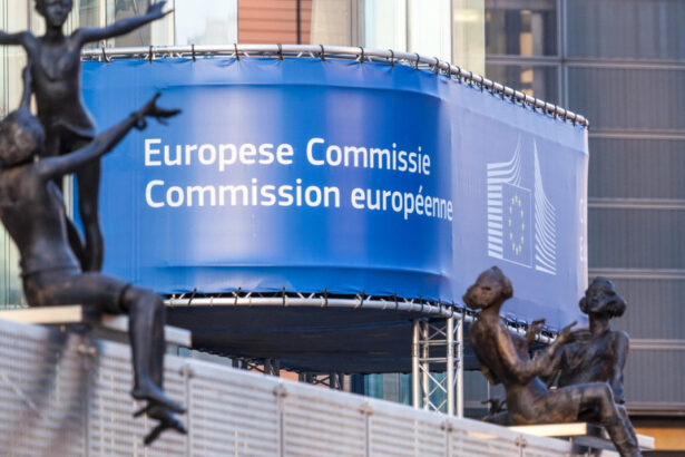 bruxelles ul indemnat sa publice ancheta privind anularea alegerilor nu poate ramane o discutie intre platforme digitale si birocrati 6aa97955287fd