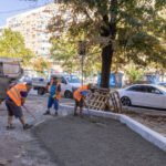 calea 13 septembrie se va transforma intr un coridor verde primaria capitalei va planta peste 200 000 de arbori arbusti si plante 6a9c69f9c0560