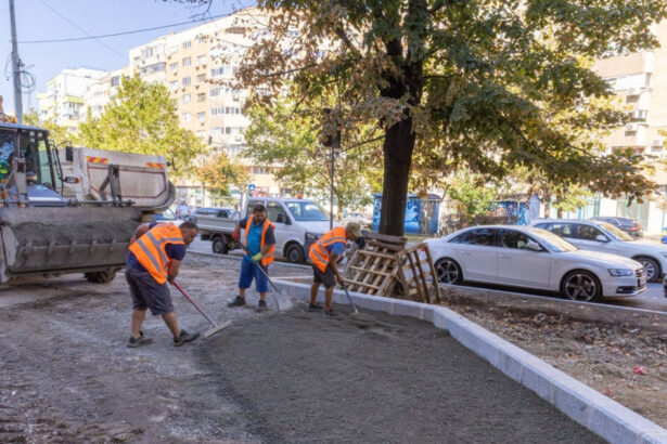calea 13 septembrie se va transforma intr un coridor verde primaria capitalei va planta peste 200 000 de arbori arbusti si plante 6a9c69f9c0560