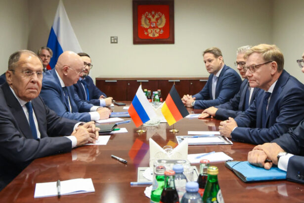 ce au discutat in spatele usilor inchise ministrul german de externe si serghei lavrov la prima intalnire de la inceputul razboiului 6ab8ec6a94dd8