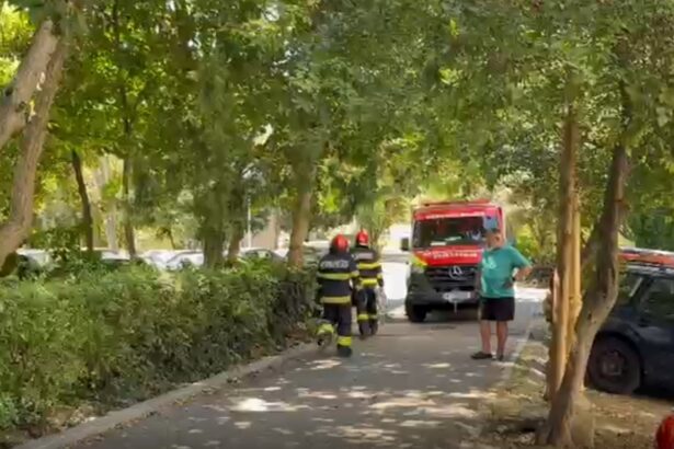 cine e tanara care a cazut de la etaj in tomis nord nu locuia acolo 6a9eaf6d24fbc