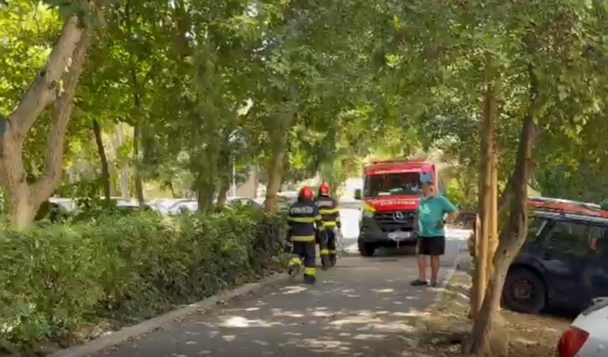 cine e tanara care a cazut de la etaj in tomis nord nu locuia acolo 6a9eaf6d24fbc