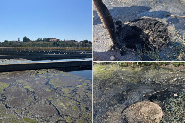 de unde ar fi venit mirosul insuportabil resimtit in bucuresti in luna august garda de mediu indica doua surse si anunta amenzi uriase 6a9928da58289