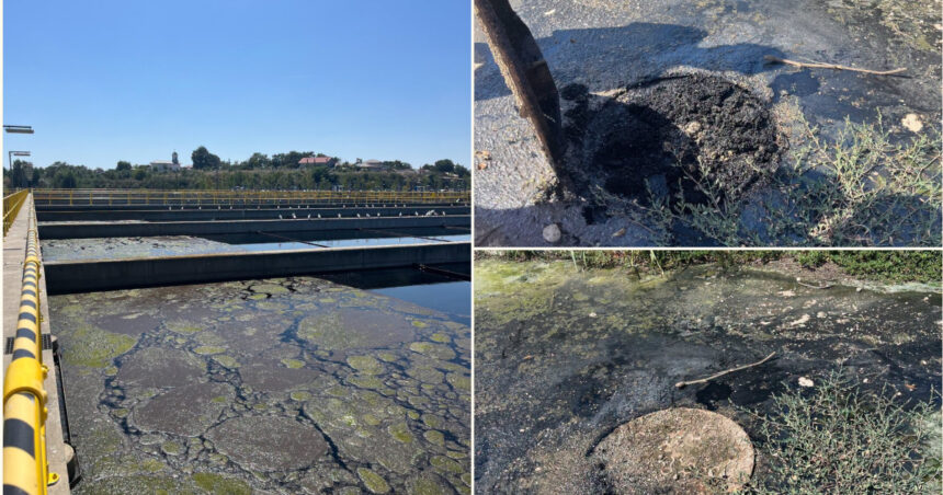 de unde ar fi venit mirosul insuportabil resimtit in bucuresti in luna august garda de mediu indica doua surse si anunta amenzi uriase 6a9928da58289
