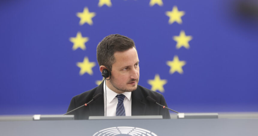 exclusiv nicu stefanuta compara situatia din germania cu cea din romania dupa scorul afd aur sta bine si pe strada nu doar in sondaje 6a9e83df9ea31