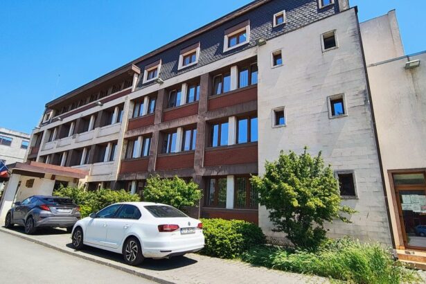 fiul fostei primarite din ion corvin condamnat la inchisoare cu executare 6aad13c79a39f