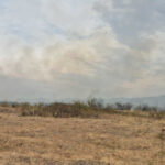 foto incendii de padure in bihor si valcea interventii dificile din cauza vantului puternic 6a9c38c1532c7