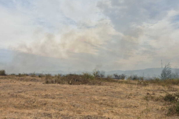foto incendii de padure in bihor si valcea interventii dificile din cauza vantului puternic 6a9c38c1532c7