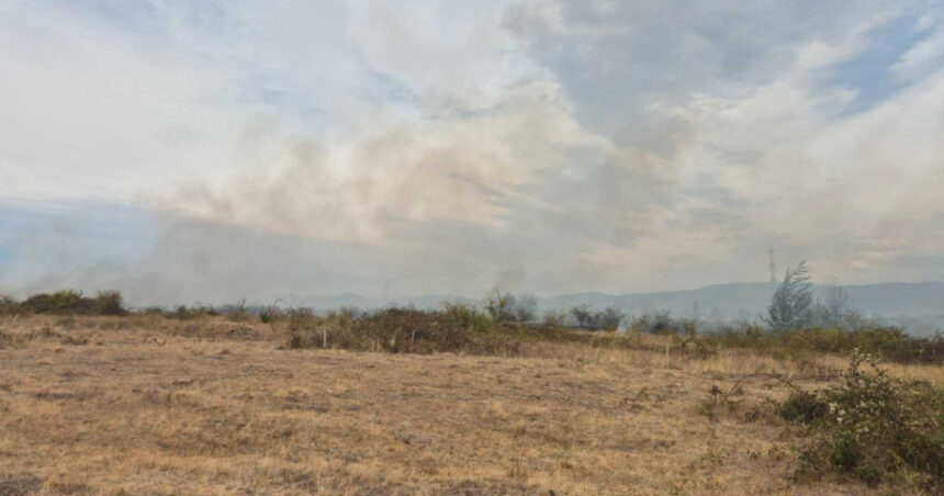 foto incendii de padure in bihor si valcea interventii dificile din cauza vantului puternic 6a9c38c1532c7