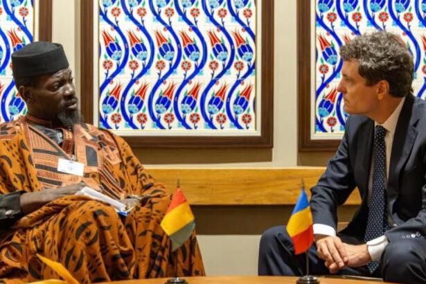 foto nicusor dan s a intalnit la new york cu presedintii din senegal si guineea ce au vorbit sefii de stat 6ab37532934f6