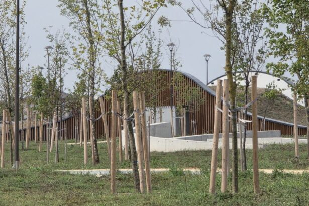 foto video promis pentru 2025 gata in 2027 perdeaua verde din constanta bate pasul pe loc 6a9a00ac76b6f