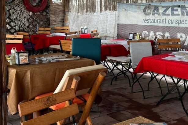 in ce stadiu este dosarul taverna la puiu din mangalia societatea a cerut drept de proprietate pe terenul pe care il ocupa ilegal 6aa9c8371ac76