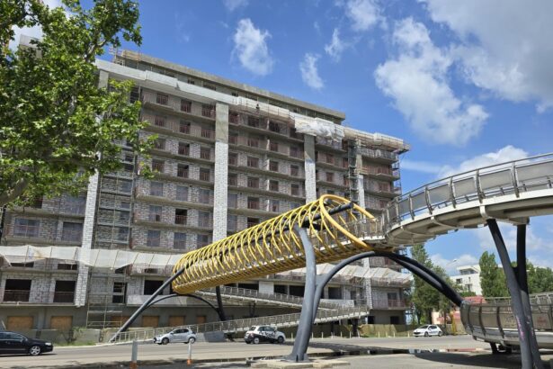 le rose del lago controversatul proiect de langa pasarela din mamaia intra intr o noua etapa 6a994a1577768