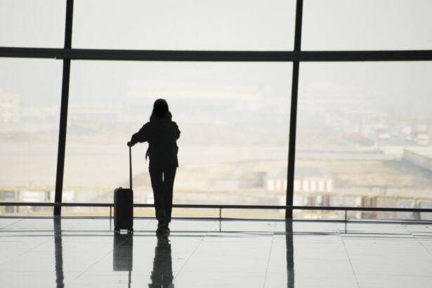 lovitura pentru pasagerii carora li se pierd bagajele in aeroport si vor sa dea in judecata compania ce a decis curtea de justitie ue 6aabc4724c13c