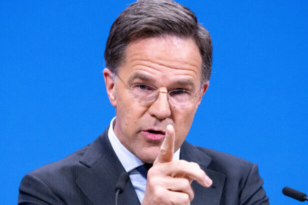 mark rutte nu exista nicio amenintare iminenta dinspre rusia pentru teritoriul nato ne putem permite un pic de calm 6abd35500adcb