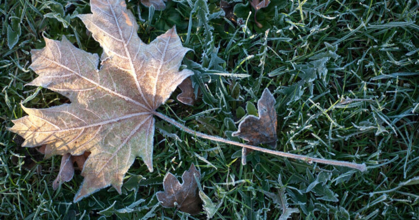 minus 37 grade celsius la miercurea ciuc este a doua oara in aceasta toamna cand se inregistreaza valori negative in harghita 6abcc852c6aee