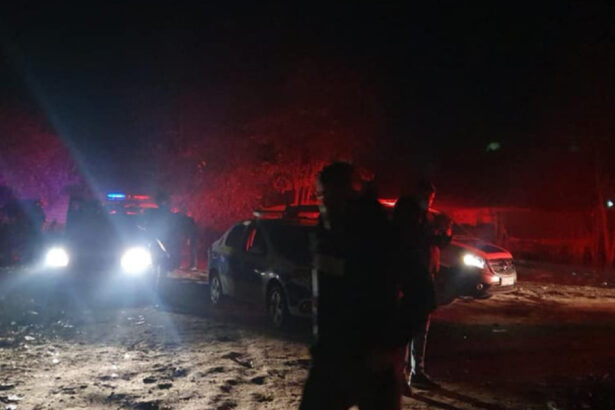nicio decizie privind instituirea starii de alerta in ilfov din cauza arderilor ilegale din sintesti ce spune diana buzoianu 6aba924890cae