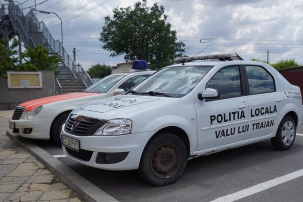 noutati in dosarul lui iancu fulina fostul sef al politiei locale valu lui traian condamnat 6ab19f6f7e96b