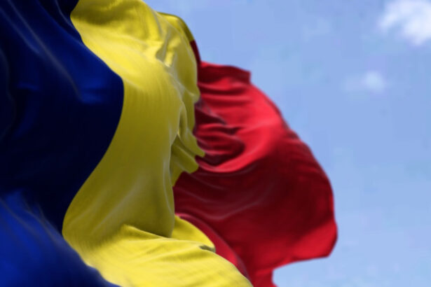 obligativitatea sarutarii steagului ar putea disparea din proiectul aur partidul cheama oamenii si institutiile la consultari 6aaa836484774