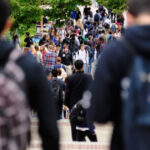 peste 5 400 de someri erau inregistrati in capitala in luna august mai mult de jumatate nu primeau indemnizatie 6aba254f6d1e8