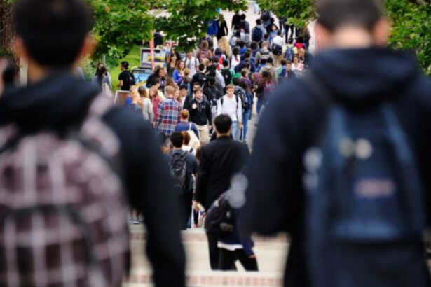 peste 5 400 de someri erau inregistrati in capitala in luna august mai mult de jumatate nu primeau indemnizatie 6aba254f6d1e8