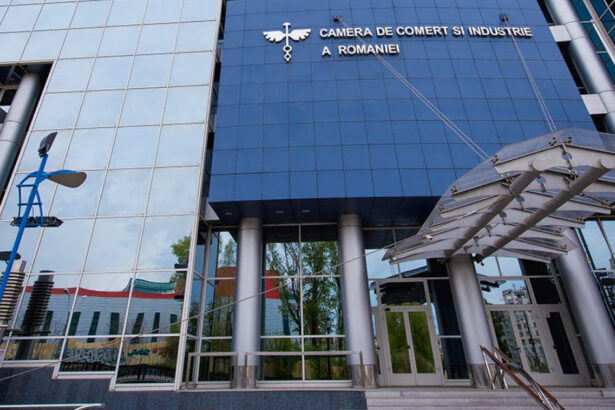 precizarile camerei de comert dupa zborul privat cu ponta manole judecatorul ccr si seful tribunalului constanta in mykonos 6aa13f7a6ba35