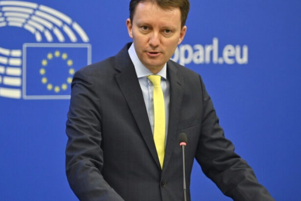 psd ul va deveni un partid mic o copie palida a extremistilor siegfried muresan despre impactul victoriei afd in germania 6a9e90e16b452