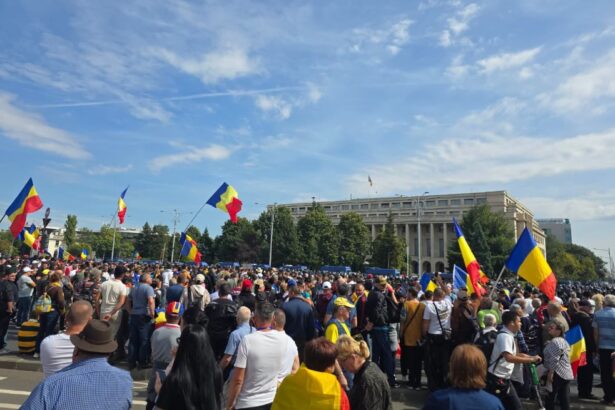 scandal cu fortele de ordine trafic blocat in pasajul victoriei pe fondul protestului caline caline poporul e cu tine reprezentantii oierilor nu sunt ciobanii nostri 6aa9345b3d64c
