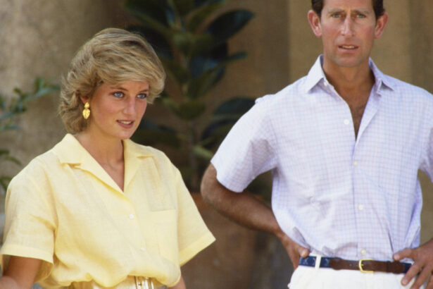schimb de replici intre fratele printesei diana si palatul buckingham regele charles acuzat de manipulare psihologica 6ab1188328c34
