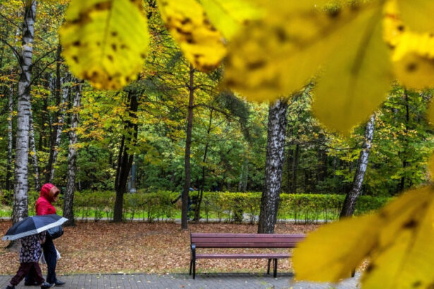 temperaturi mai ridicate decat normalul perioadei ce spune prognoza meteo pe urmatoarele patru saptamani 6a9fab3de6dd0