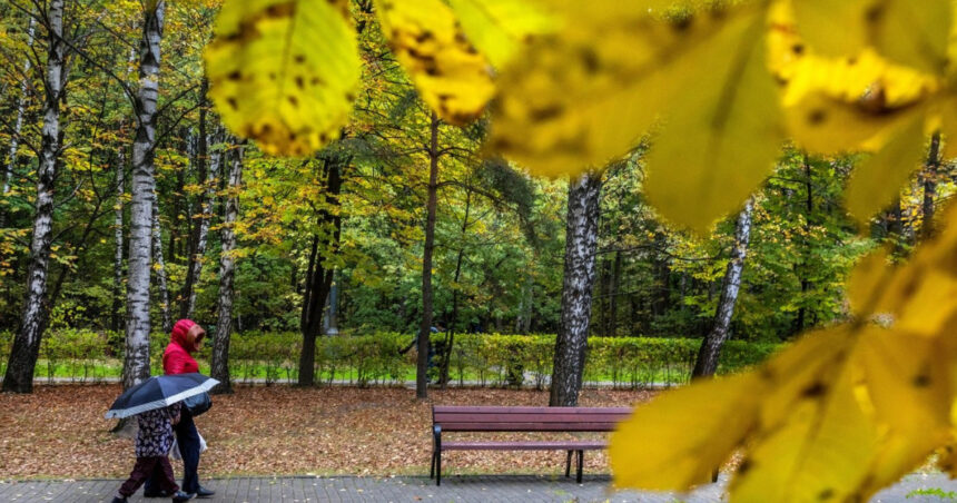 temperaturi mai ridicate decat normalul perioadei ce spune prognoza meteo pe urmatoarele patru saptamani 6a9fab3de6dd0