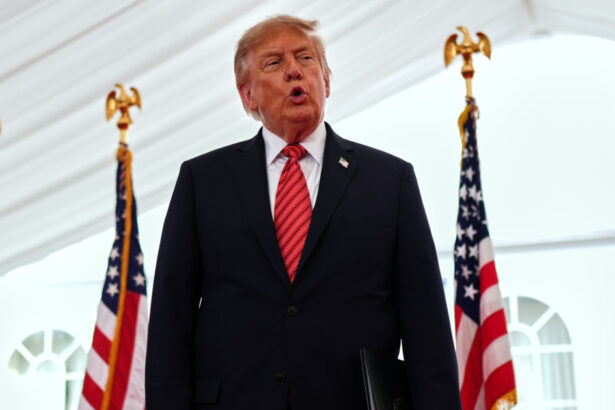 trump spune ca si ar dori foarte mult o irlanda unita nu vreau sa provoc probleme proteste la dublin 6aa5501984ec7