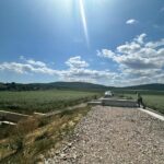 una dintre cele mai puternice companii de constructii din romania investitie in judetul tulcea 6a9ddc7ad0491