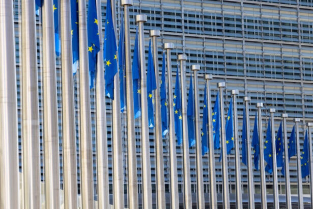 video comisia europeana cere clarificari din partea romaniei privind amendamentul fritz ca parte a reformei din pnrr surse 6a986062bf27d