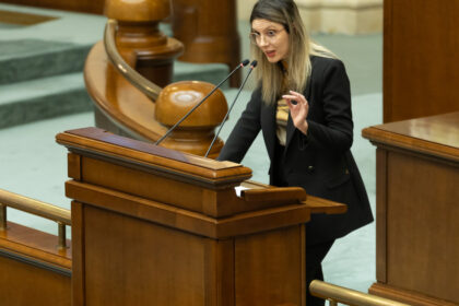 video diana buzoianu acuza psd ca impiedica formarea guvernului muresan nu mai inventati motive sa blocati tara 6abcff6c6590a