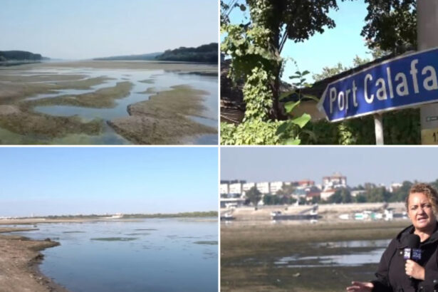 video erau vapoare erau pasageri nave blocate circulatie paralizata de luni intregi seceta extrema prelungeste criza de pe dunare 6abb491ae7125