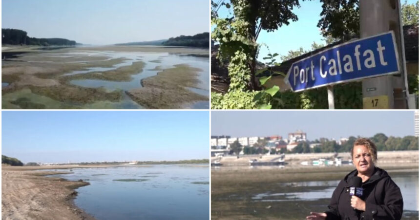 video erau vapoare erau pasageri nave blocate circulatie paralizata de luni intregi seceta extrema prelungeste criza de pe dunare 6abb491ae7125