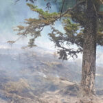 video igsu peste 10 000 de incendii de vegetatie in primele opt luni numarul interventiilor in scadere 6aaa81009da73