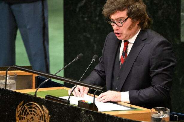 video javier milei dezlantuit la tribuna onu o organizatie inutila care nu serveste decat la a alimenta o casta de paraziti 6ab4f46490d30