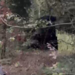 video momentul in care drona ajunge aproape de localitatea solca din suceava se prabuseste aicea 6ab4fef08f3e2