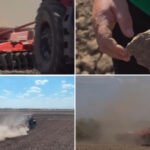video nori de praf si disperare cum afecteaza lipsa ploilor culturile din vestul tarii fermier in 40 de ani asa ceva nu am mai intalnit 6ab0af0ab31f8