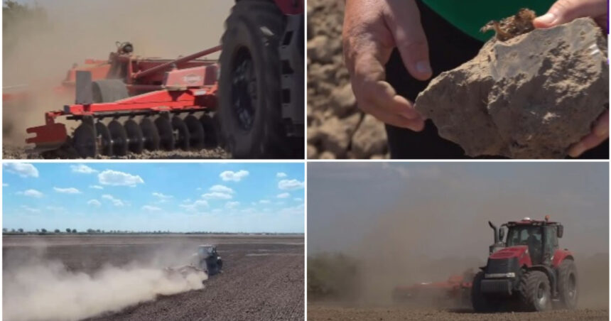 video nori de praf si disperare cum afecteaza lipsa ploilor culturile din vestul tarii fermier in 40 de ani asa ceva nu am mai intalnit 6ab0af0ab31f8