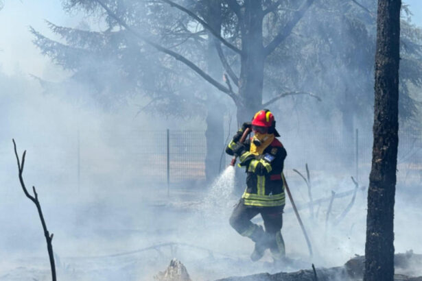 video pompierii romani continua lupta cu incendiile din serbia interventii in rezervatia deliblato sands 6a9693d8cb196