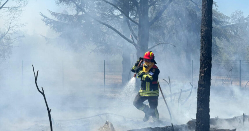 video pompierii romani continua lupta cu incendiile din serbia interventii in rezervatia deliblato sands 6a9693d8cb196