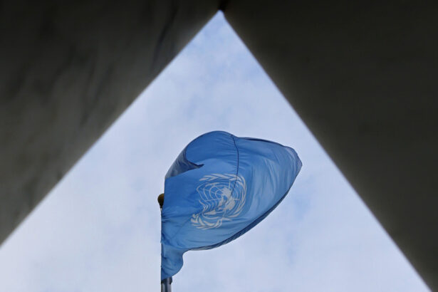 video romania isi afirma pozitia la adunarea generala onu prioritati pentru securitatea regionala si colaborare internationala 6ab21244e2cd9