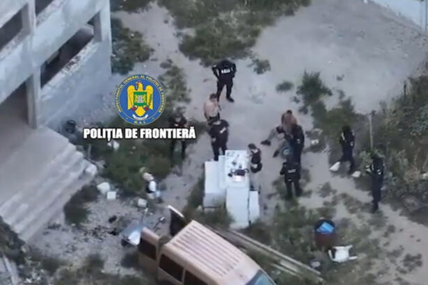 video saci intregi de canabis gasiti de politie la o descindere langa bucuresti 6aa15b99f109e